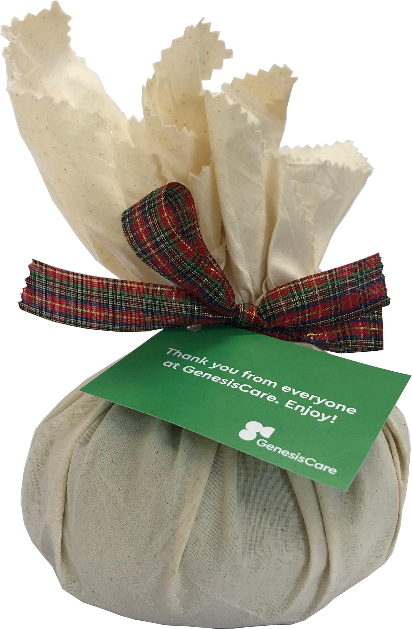 Christmas Pudding Big